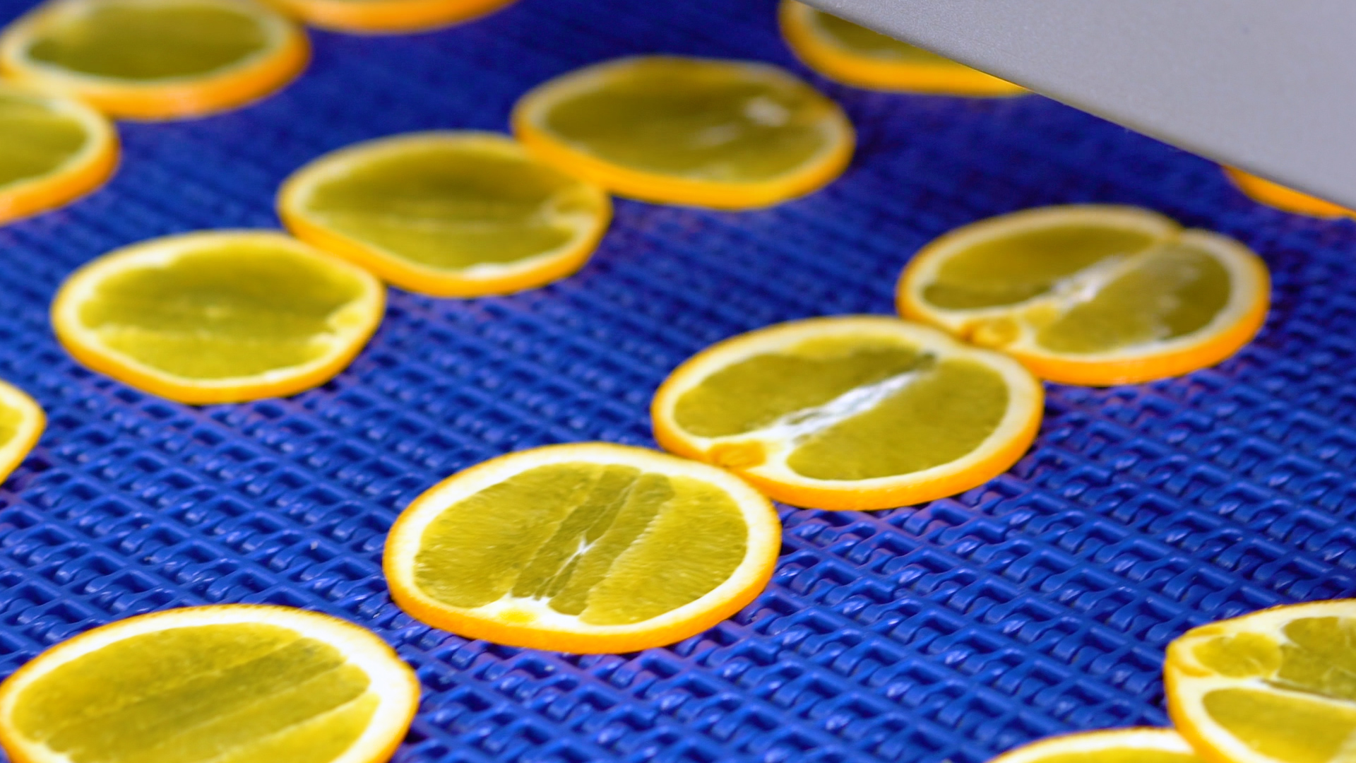 Limones cortados en rodajas con nuestra cortadora de limones industrial.