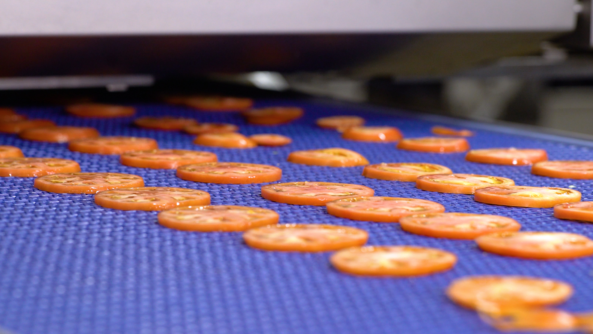 Tomato slices cut by our Fresh Tomato Slicers.