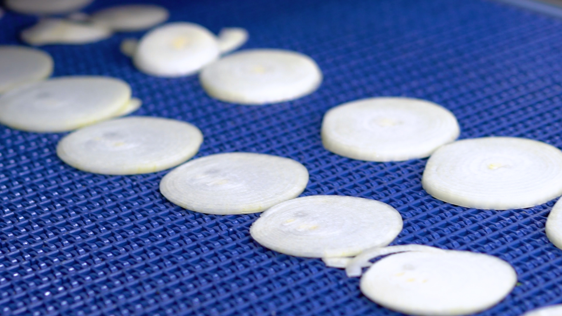 Thin onion slices cut using Grote's Industrial Onion Slicers.