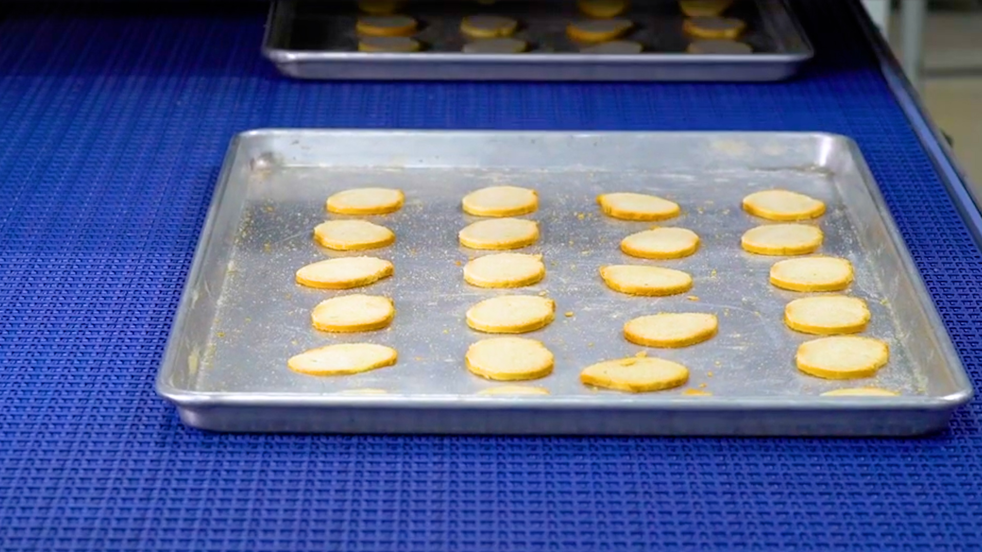 Industrial Bread Slicer with adjustable width - Grosmac