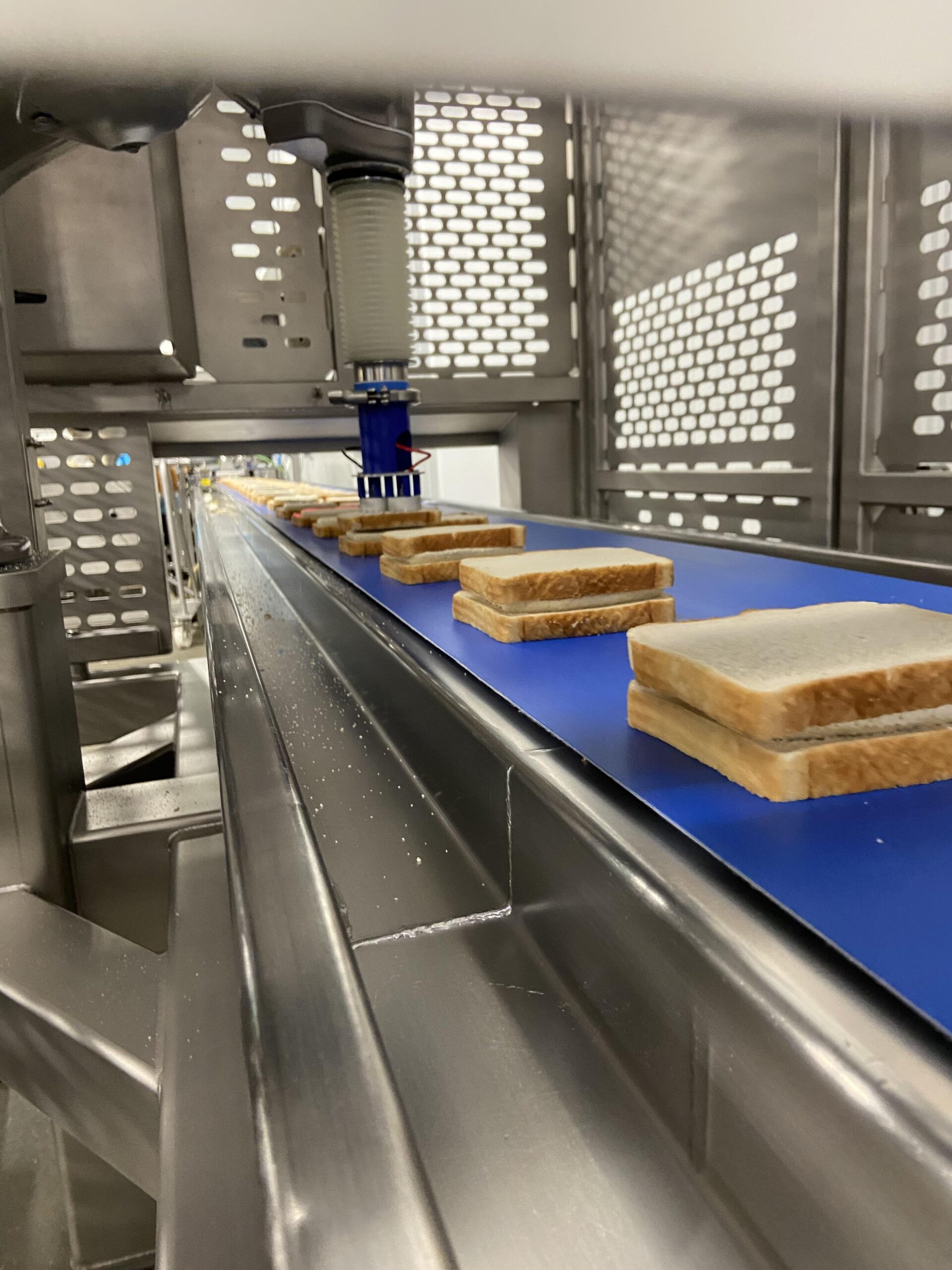 Sandwiches being lidded with a Grote robot solution on a conveyor