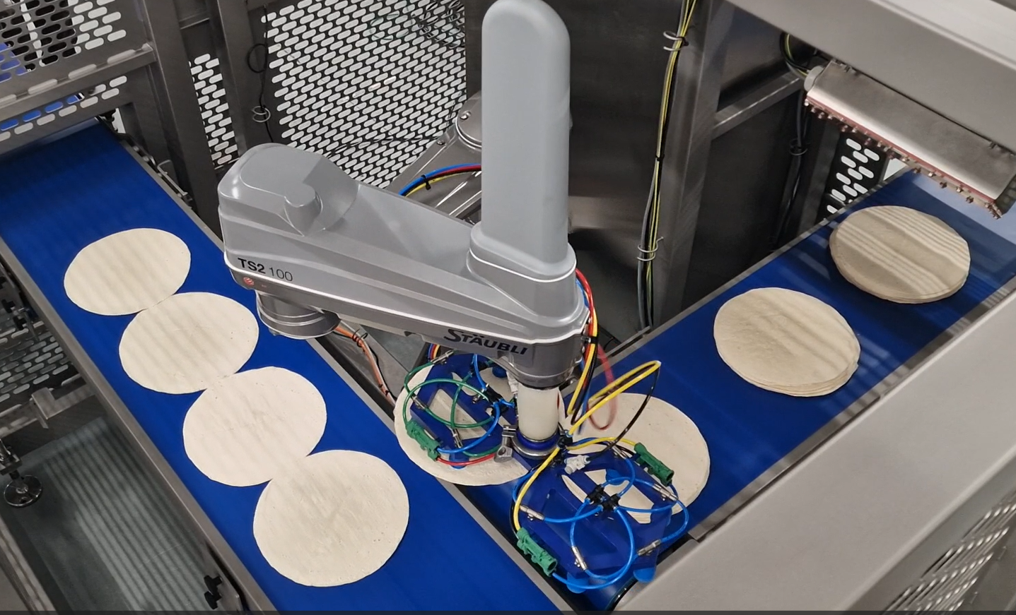 Multiple pizzas with sauce moving through a sauce applicator machine.